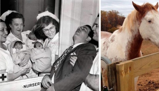 The world is better than you think: 35 emotional photos that prove it