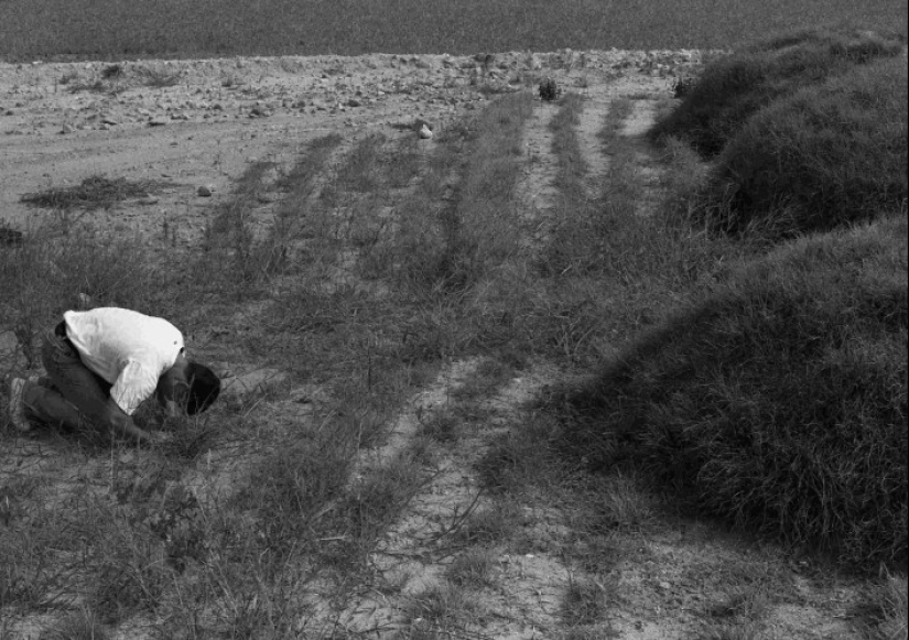 The Yakuza in South Korea The Yakuza in South Korea