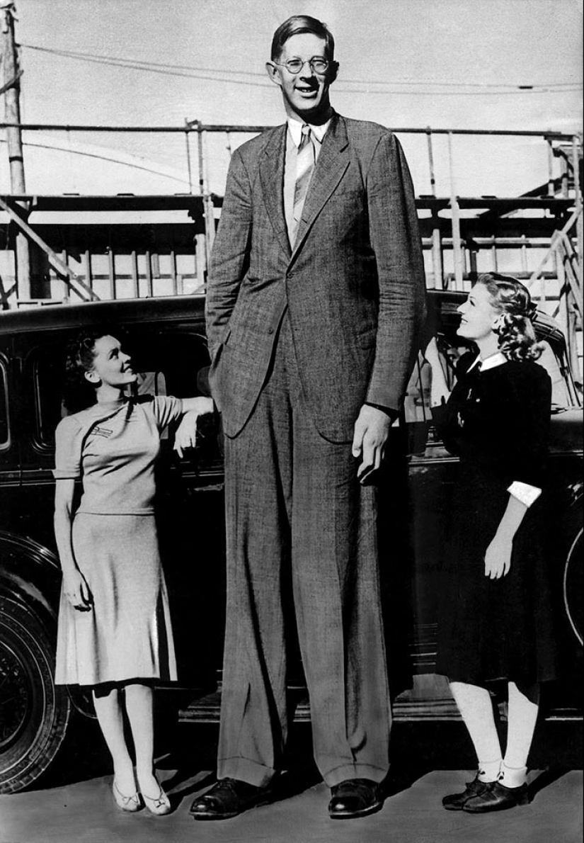 There is a video that shows how big was Robert Wadlow — the tallest man in history There is a video that shows how big was Robert Wadlow — the tallest man in history