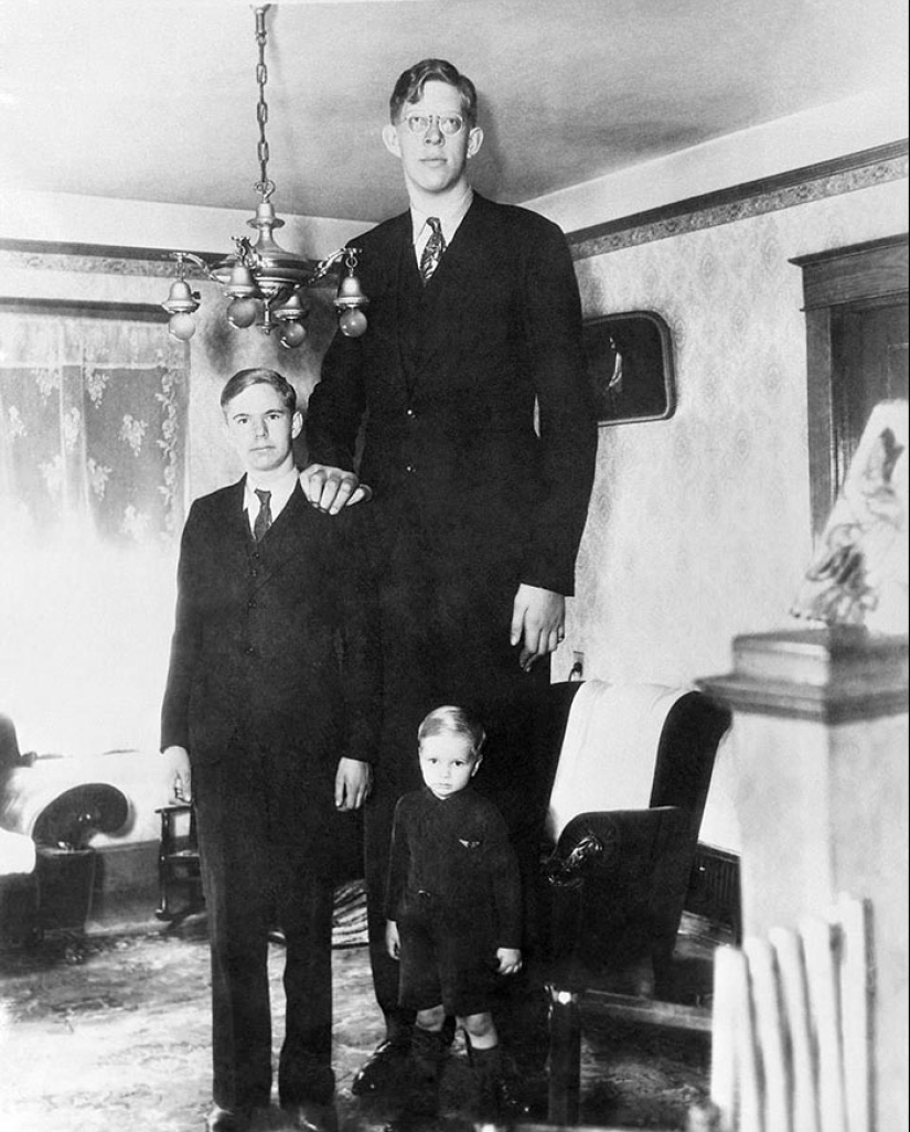 There is a video that shows how big was Robert Wadlow — the tallest man in history There is a video that shows how big was Robert Wadlow — the tallest man in history