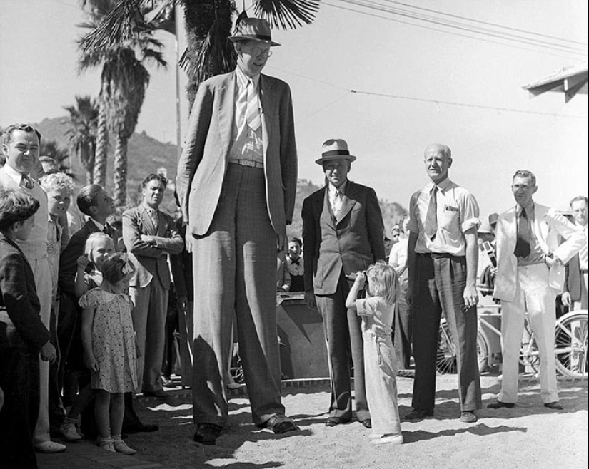 There is a video that shows how big was Robert Wadlow — the tallest man in history There is a video that shows how big was Robert Wadlow — the tallest man in history