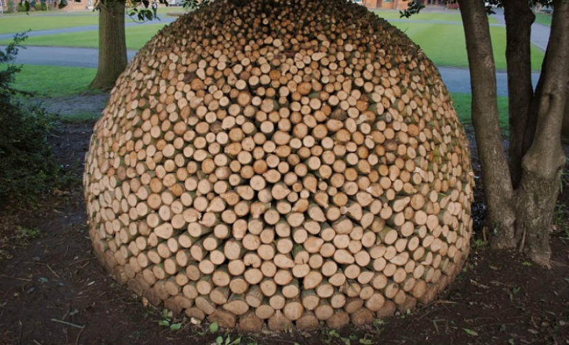 There is grass in the yard, firewood on the grass