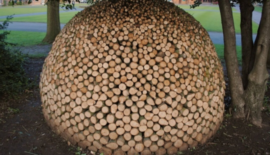 There is grass in the yard, firewood on the grass There is grass in the yard, firewood on the grass