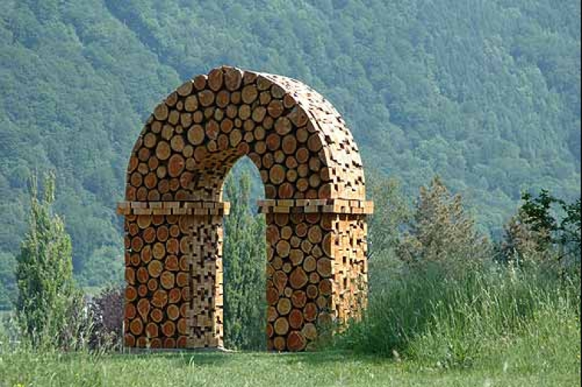 There is grass in the yard, firewood on the grass