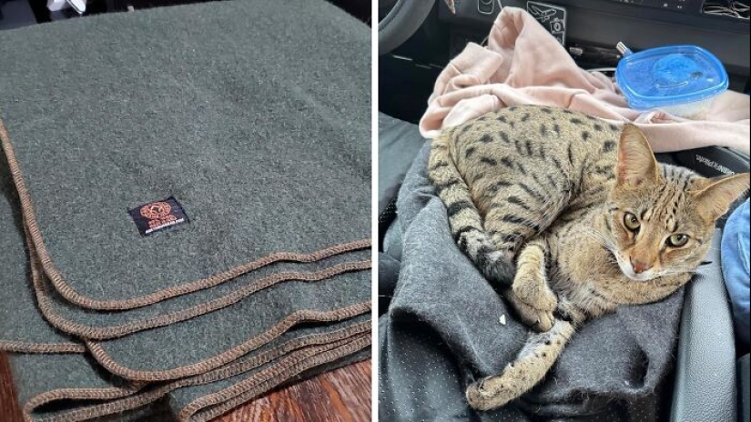 These 18 Finds Are For People Who Basically Sleep In Their Car