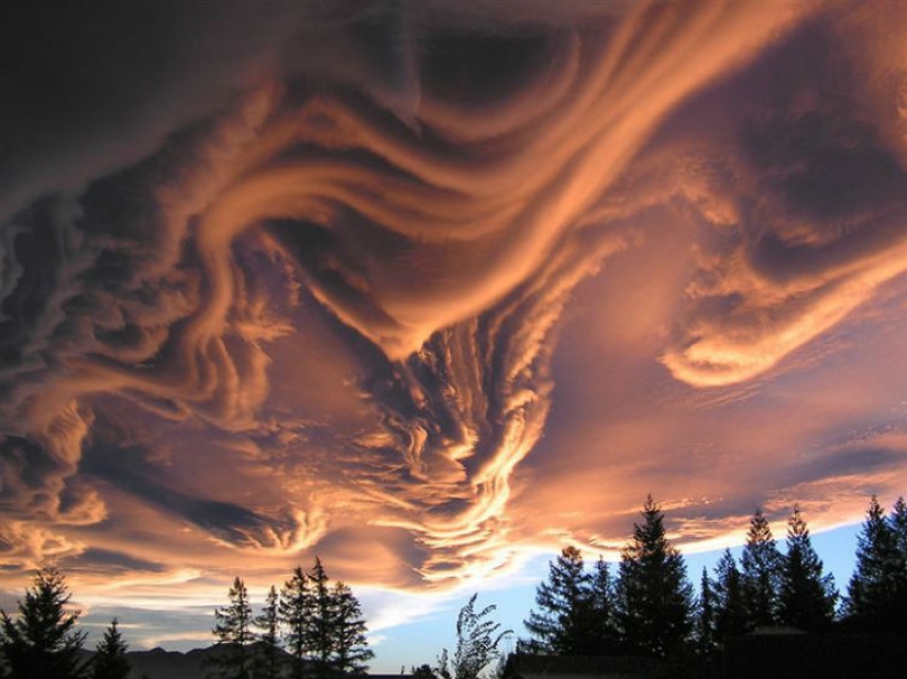 These 19 photos confirm how amazing our world is