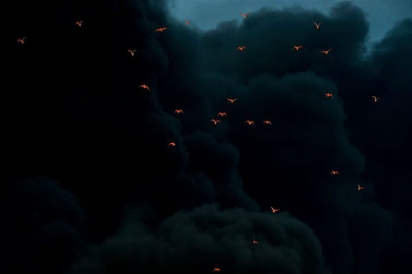 These 19 photos confirm how amazing our world is