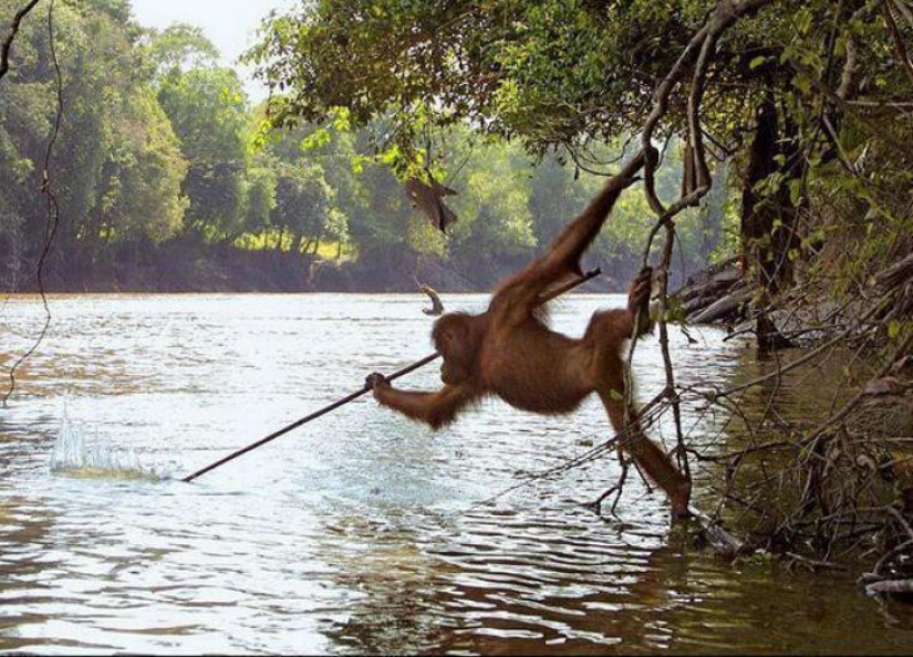 These 19 photos confirm how amazing our world is