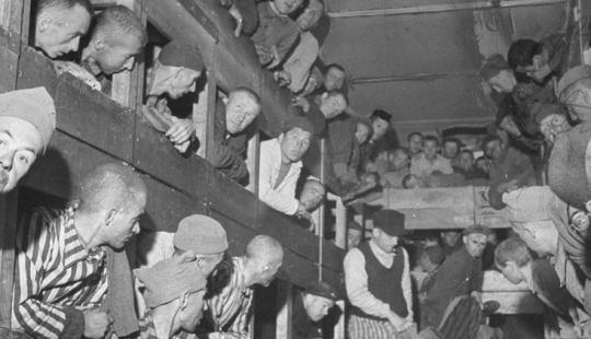 "Think how we died": a horror story in the Dachau concentration camp