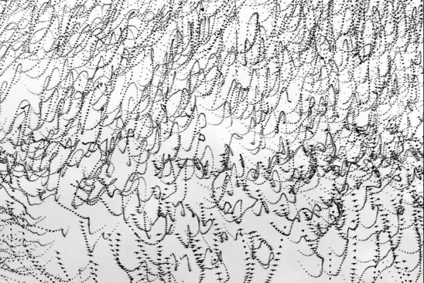 This Artist Captured 20 Mesmerizing Photos That Turn Bird Migration Into A Work Of Art