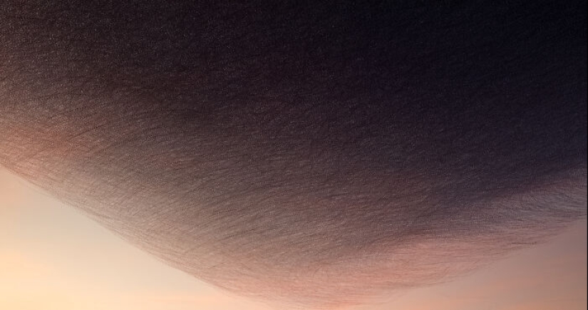 This Artist Captured 20 Mesmerizing Photos That Turn Bird Migration Into A Work Of Art