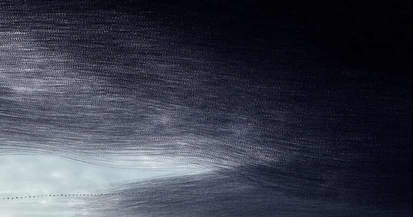 This Artist Captured 20 Mesmerizing Photos That Turn Bird Migration Into A Work Of Art
