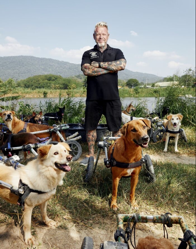 This Dog Sanctuary Honored Its Supporters By Making Them Part Of The Story This Dog Sanctuary Honored Its Supporters By Making Them Part Of The Story