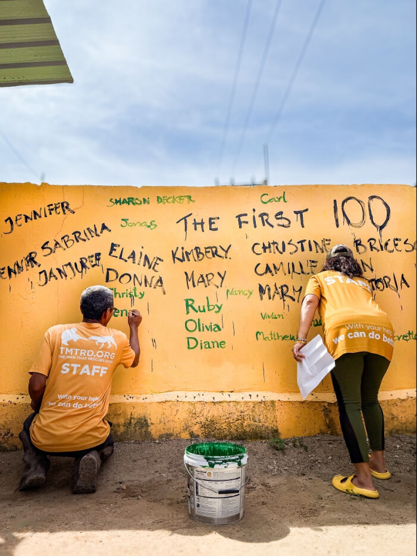This Dog Sanctuary Honored Its Supporters By Making Them Part Of The Story This Dog Sanctuary Honored Its Supporters By Making Them Part Of The Story