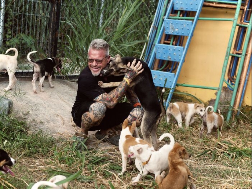 This Dog Sanctuary Honored Its Supporters By Making Them Part Of The Story This Dog Sanctuary Honored Its Supporters By Making Them Part Of The Story