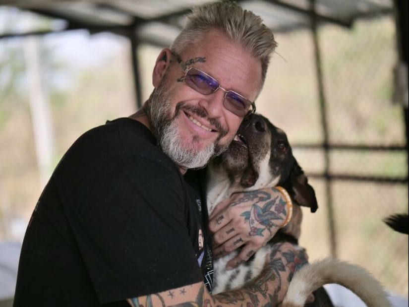 This Dog Sanctuary Honored Its Supporters By Making Them Part Of The Story This Dog Sanctuary Honored Its Supporters By Making Them Part Of The Story