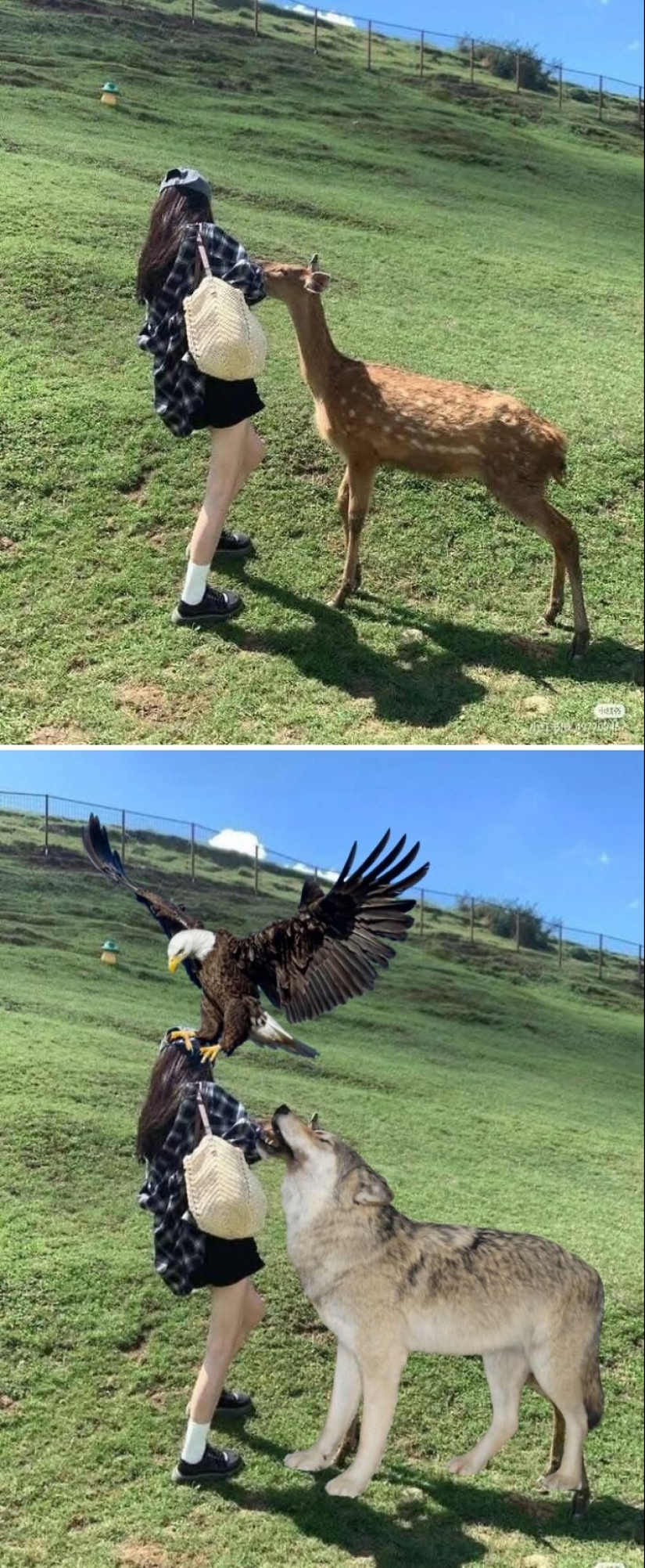 This FB Page Collects User-Requested Photo Edits, And Here Are 16 Of The Funniest Ones