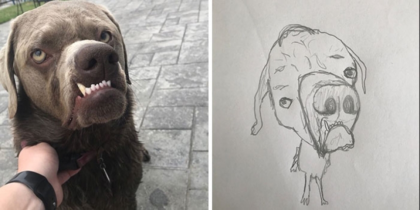 This Guy Gives His Followers’ Profile Pics A Hilarious Makeover With His Drawings This Guy Gives His Followers’ Profile Pics A Hilarious Makeover With His Drawings