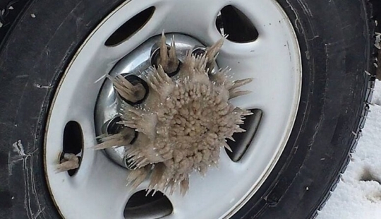 This incredible world! 17 pictures that will surprise you