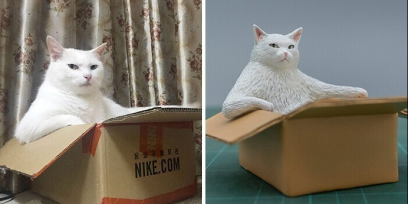 This is a must see: 50 amusing animal figures based on Internet memes This is a must see: 50 amusing animal figures based on Internet memes