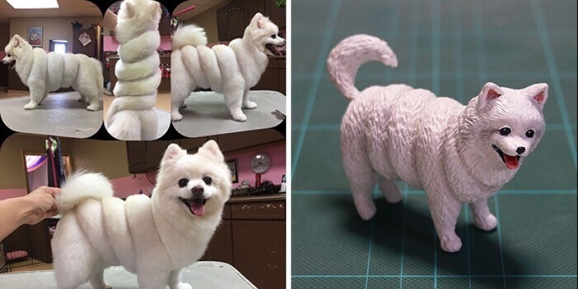 This is a must see: 50 amusing animal figures based on Internet memes This is a must see: 50 amusing animal figures based on Internet memes