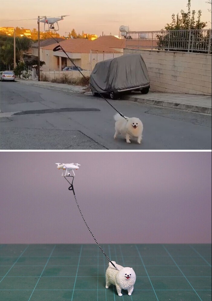 This is a must see: 50 amusing animal figures based on Internet memes This is a must see: 50 amusing animal figures based on Internet memes