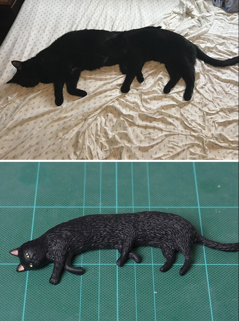 This is a must see: 50 amusing animal figures based on Internet memes This is a must see: 50 amusing animal figures based on Internet memes