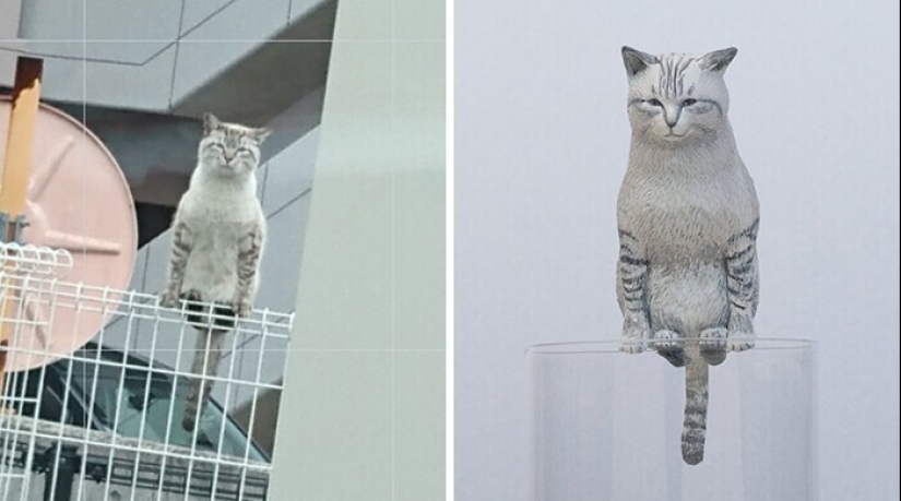 This is a must see: 50 amusing animal figures based on Internet memes This is a must see: 50 amusing animal figures based on Internet memes