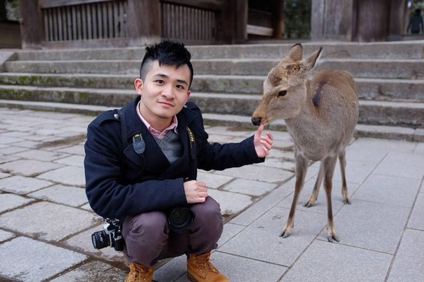 Thousands of Deer Flood the Streets of Japan's Nara Thousands of Deer Flood the Streets of Japan's Nara