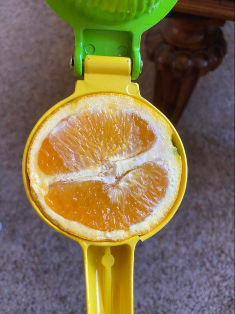 To the delight of the perfectionist: 18 photos, which is nothing to complain about