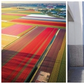To the delight of perfectionists: 22 photos in which EVERYTHING is fine To the delight of perfectionists: 22 photos in which EVERYTHING is fine