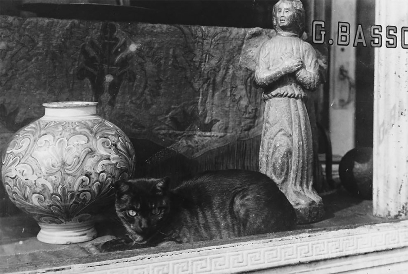 Todd Webb is an iconic 1940s photographer who never sought fame. Todd Webb is an iconic 1940s photographer who never sought fame.