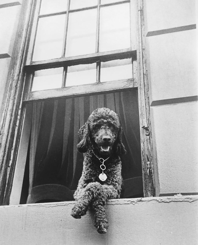 Todd Webb is an iconic 1940s photographer who never sought fame. Todd Webb is an iconic 1940s photographer who never sought fame.