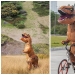 Todo el mundo sueña con este traje de tiranosaurio, y he aquí por qué Todo el mundo sueña con este traje de tiranosaurio, y he aquí por qué