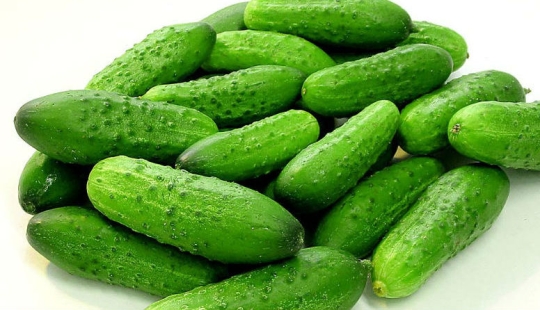 Top 20 fat-burning and metabolism-regulating foods Top 20 fat-burning and metabolism-regulating foods