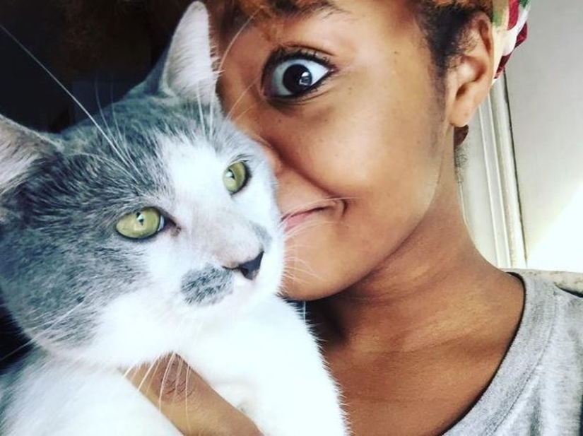 Top 20 strange things make cat owners Top 20 strange things make cat owners