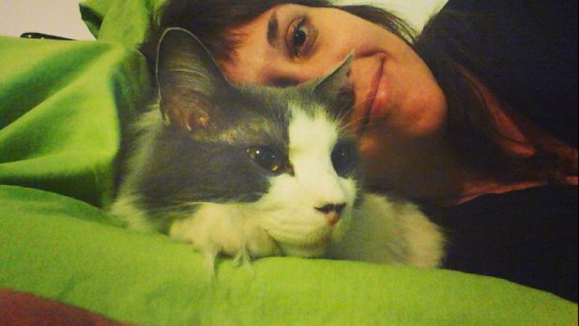 Top 20 strange things make cat owners Top 20 strange things make cat owners