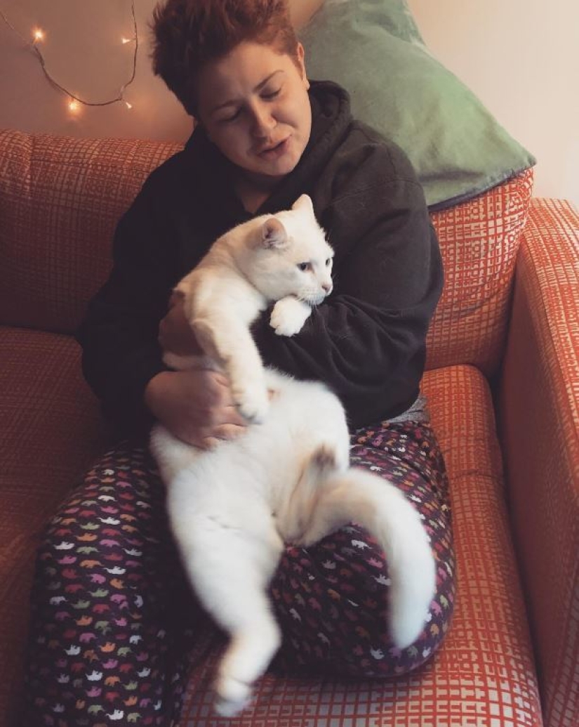 Top 20 strange things make cat owners Top 20 strange things make cat owners