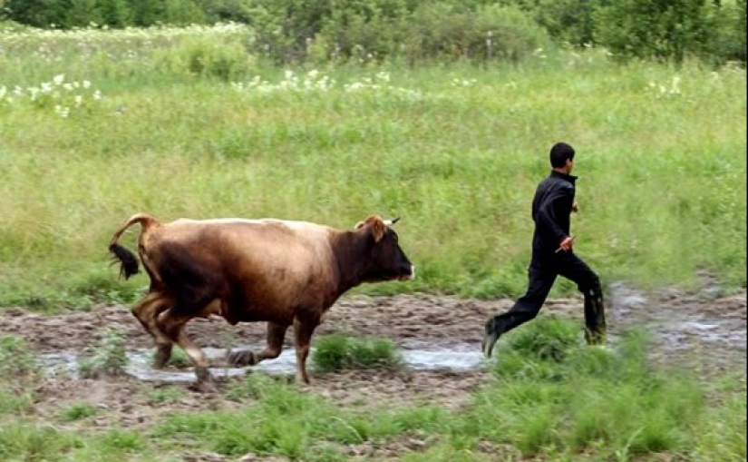 Trash in the fresh air: the Russian village is more alive than all the living