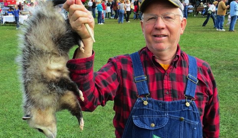 Two-legged scavengers: a new gastronomic trend has emerged in the world