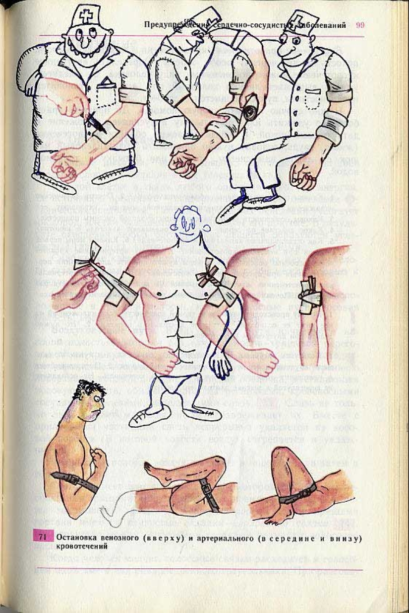 Un divertido libro de texto de biología te lleva de regreso al noveno grado Un divertido libro de texto de biología te lleva de regreso al noveno grado