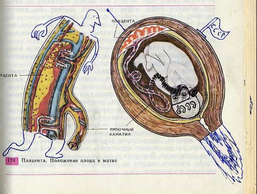 Un divertido libro de texto de biología te lleva de regreso al noveno grado Un divertido libro de texto de biología te lleva de regreso al noveno grado