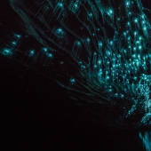 Un fotógrafo tomó un cielo estrellado de luciérnagas en una cueva de Nueva Zelanda Un fotógrafo tomó un cielo estrellado de luciérnagas en una cueva de Nueva Zelanda
