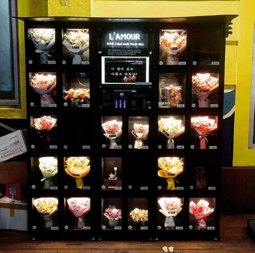 Un típico de corea del Sur hogar rarezas que podríamos usar