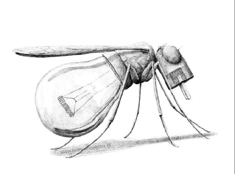 Una mirada inusual a las cosas ordinarias del artista Redmer Hoekstra Una mirada inusual a las cosas ordinarias del artista Redmer Hoekstra