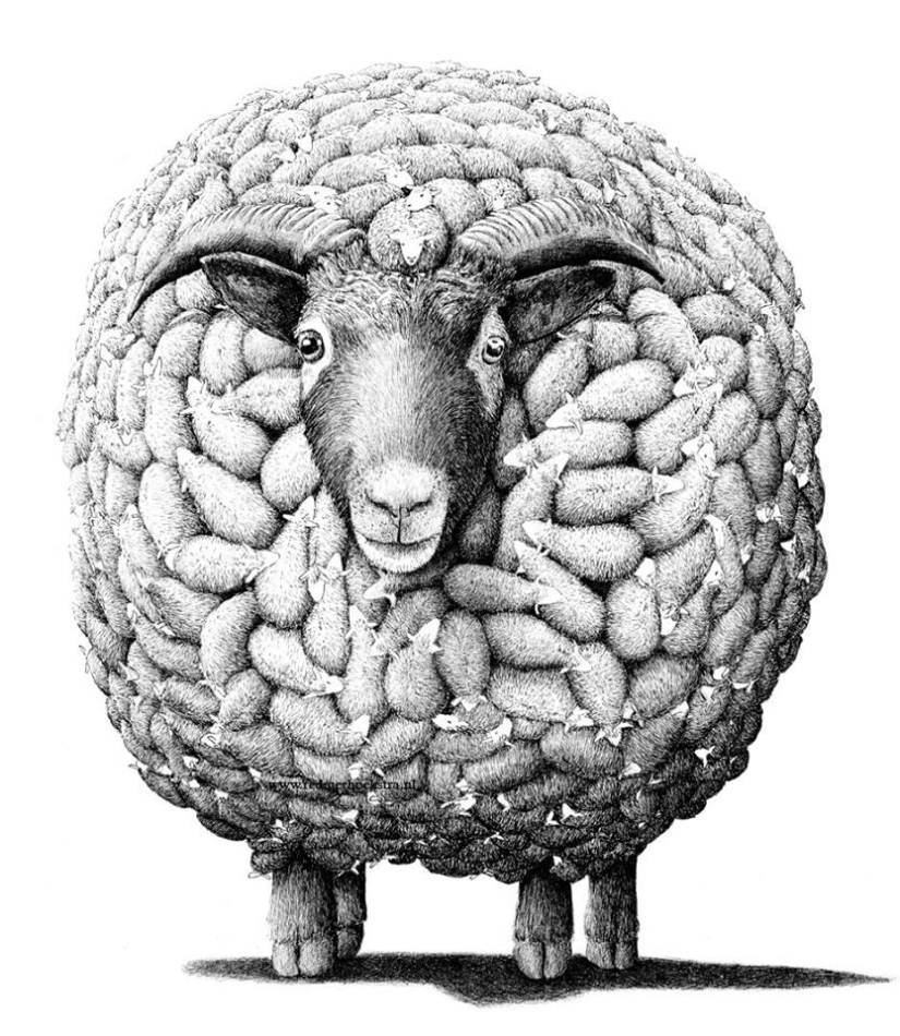 Una mirada inusual a las cosas ordinarias del artista Redmer Hoekstra Una mirada inusual a las cosas ordinarias del artista Redmer Hoekstra