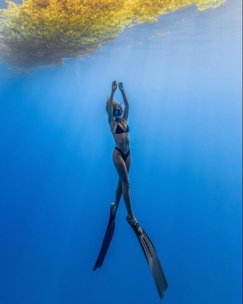 Underwater extravaganza of diver and photographer Jason Washington