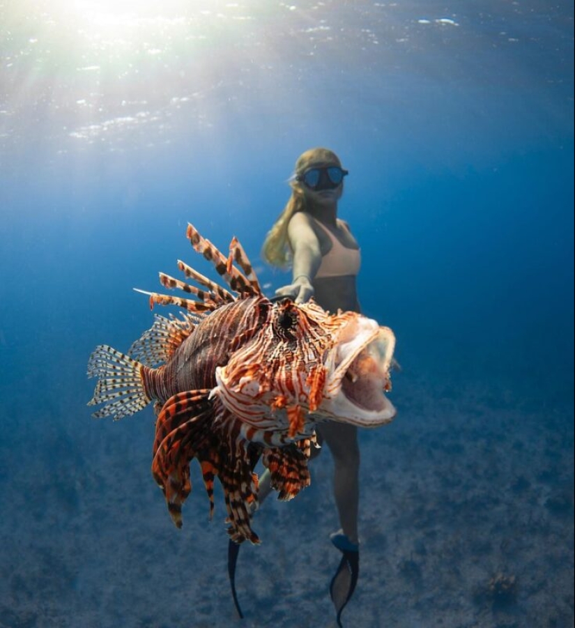 Underwater extravaganza of diver and photographer Jason Washington