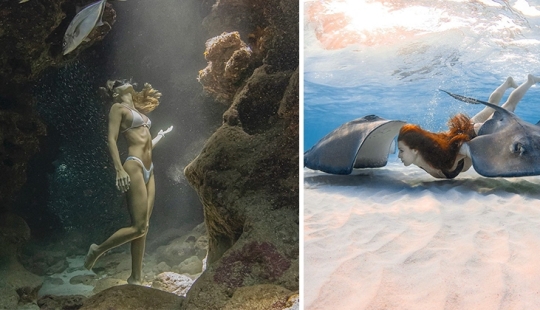 Underwater extravaganza of diver and photographer Jason Washington