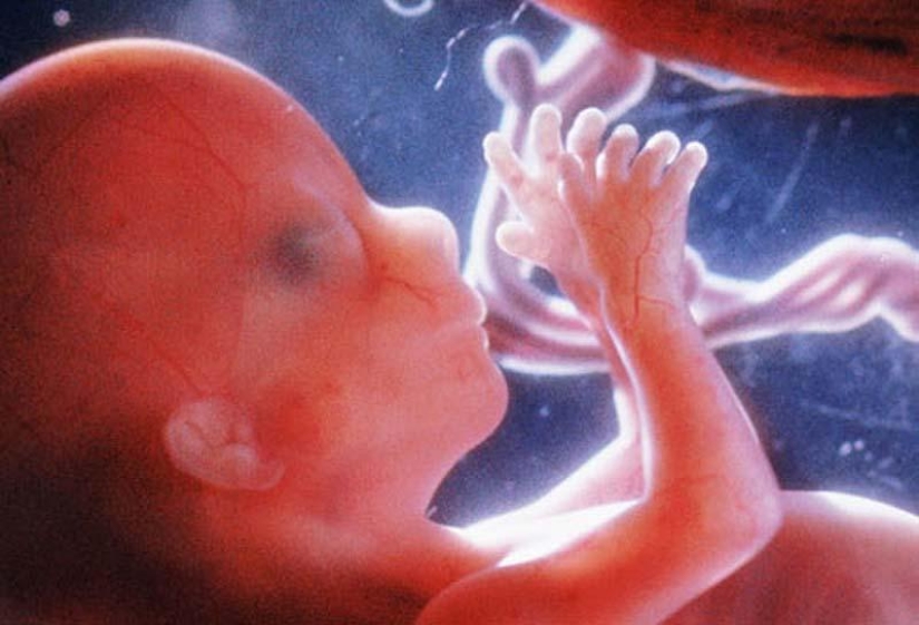 Unique photos: a girl's life before birth